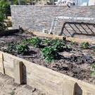 Adding a vegetable garden
